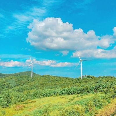 揣摩狗的心思，可能没那么容易